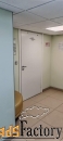 свободного назначения, 262 м²
