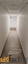 свободного назначения, 262 м²