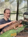 английский для бизнеса и карьеры