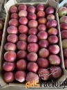 продаются яблоневые сады в адыгее