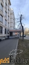 офисное помещение, 207.3 м²
