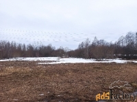 земельный участок, 100 сот.