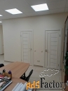 торговое помещение, 49.6 м²