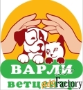 ассистент-помощник ветеринарного врача
