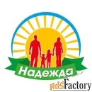 помощник руководителя