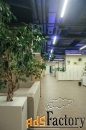 свободного назначения, 615.2 м²