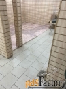торговое помещение, 359.4 м²