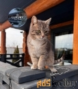 коттедж 65 м² на участке 5 сот.