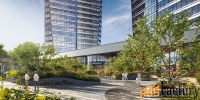 офисное помещение, 243.5 м²