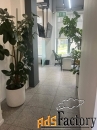 офисное помещение, 81.8 м²