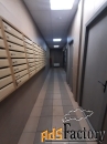 2 - комн.  квартира, 53.9 м², 10/17 эт.
