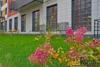 2 - комн.  квартира, 58.9 м², 2/17 эт.