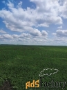 земельный участок, 110000 сот.