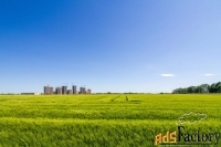 земельный участок, 1961 сот.