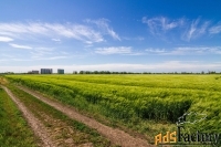 земельный участок, 1961 сот.