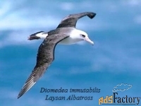 инженер-технолог