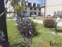 коттедж 88.6 м² на участке 0.8 сот.