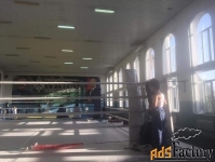 свободного назначения, 1377 м²