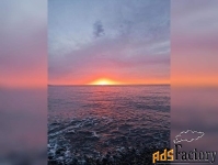 земельный участок, 40000 сот.