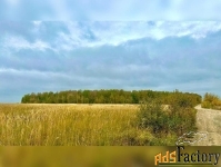 Участок 2118 сот. (другое)