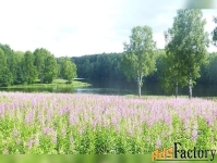 Участок 2400 сот. (ижс)