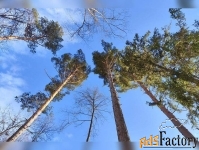 Участок 12.12 сот. (ижс)