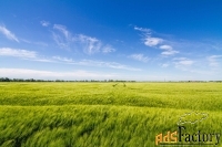 Участок 1961 сот. (ижс)