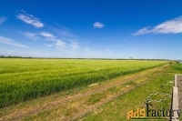 Участок 1961 сот. (ижс)