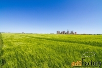 Участок 1961 сот. (ижс)