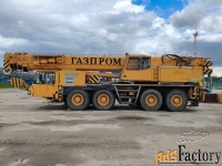 автокран ac-265tt дemaг , г. вуктыл (республика коми)