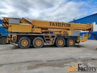 автокран ac-265tt дemaг , г. вуктыл (республика коми)